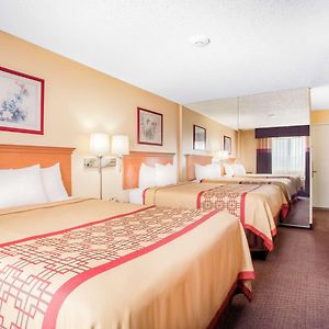 Queen Room Disability Access